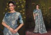 Norita 44900 Rooh By Mahotsav Silk Sequence Work Designer Saree